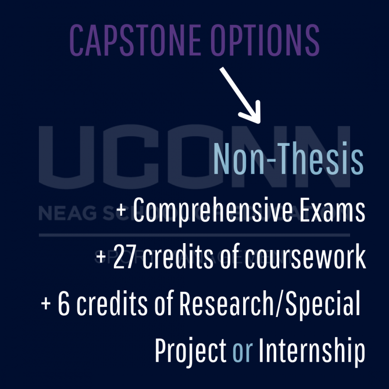 Non-thesis path
